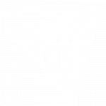 FFF_SJR_3
